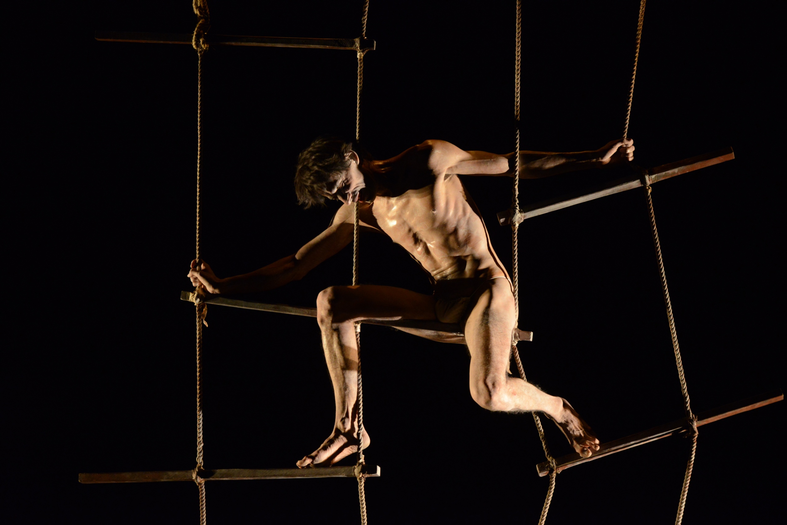 La bestia, 2014