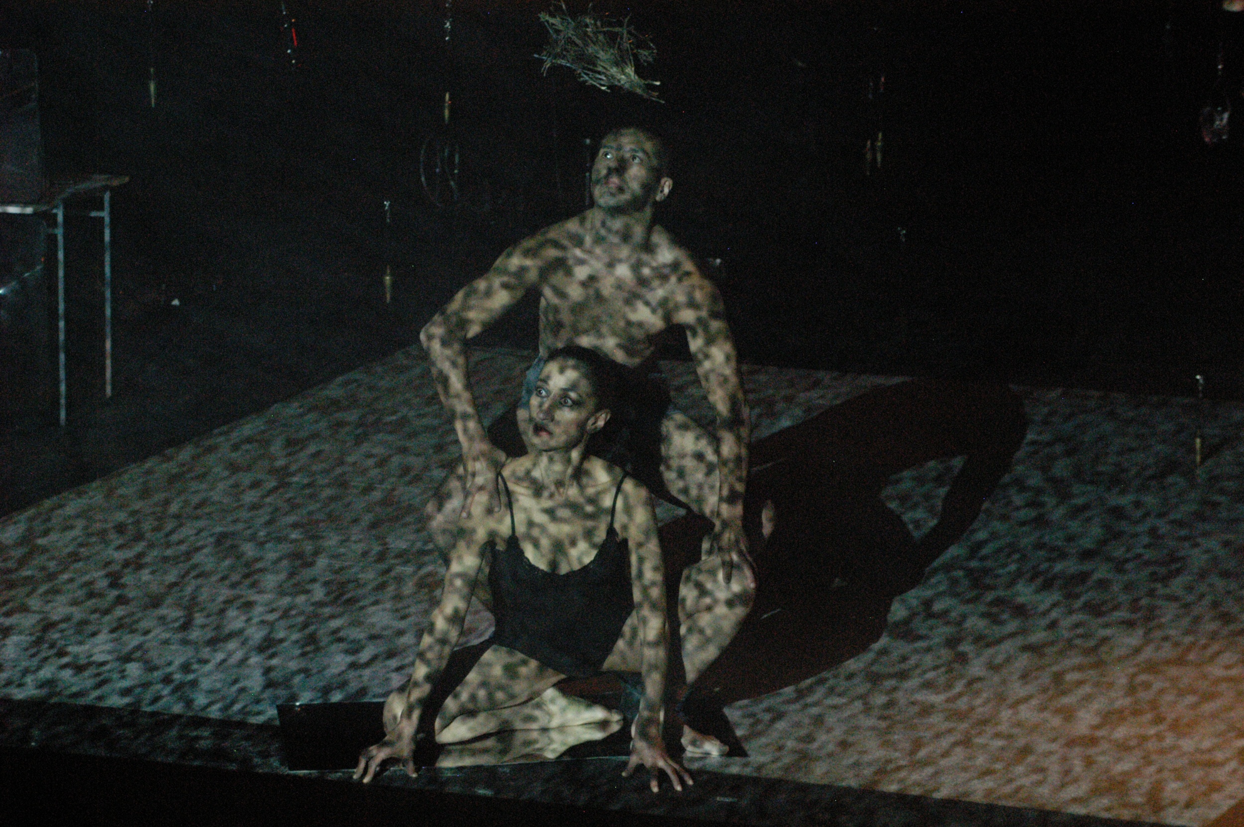 La oscura raíz, 2005