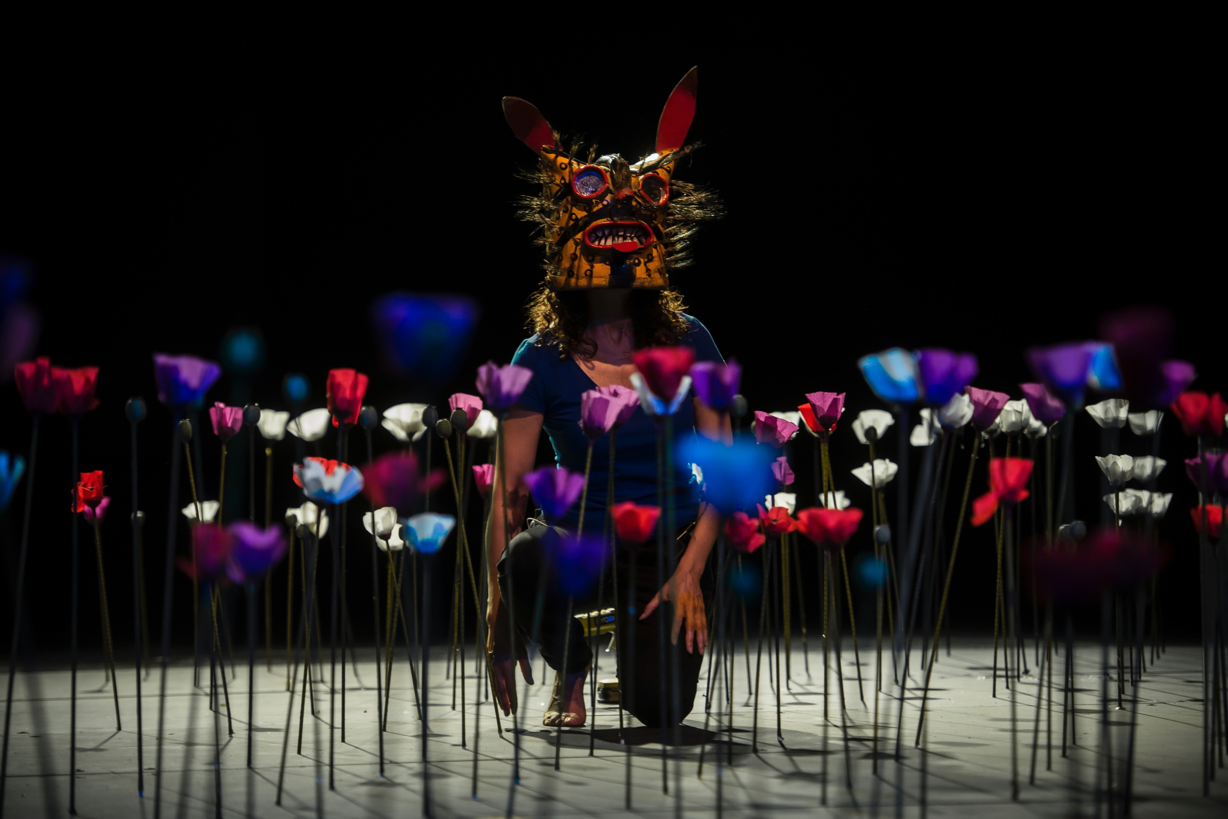 Filo de caballos, 2018