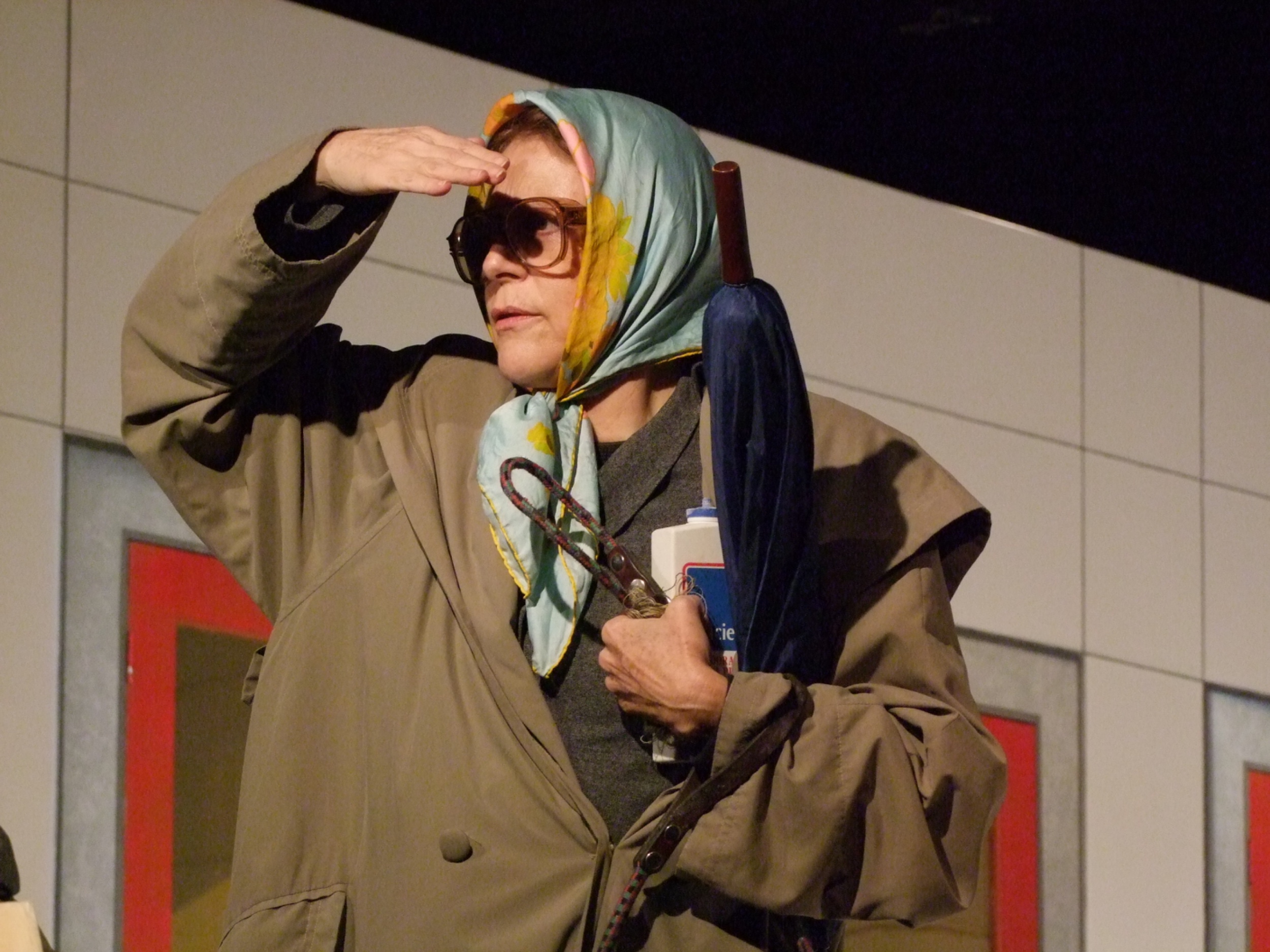 Ser es ser visto, 2009