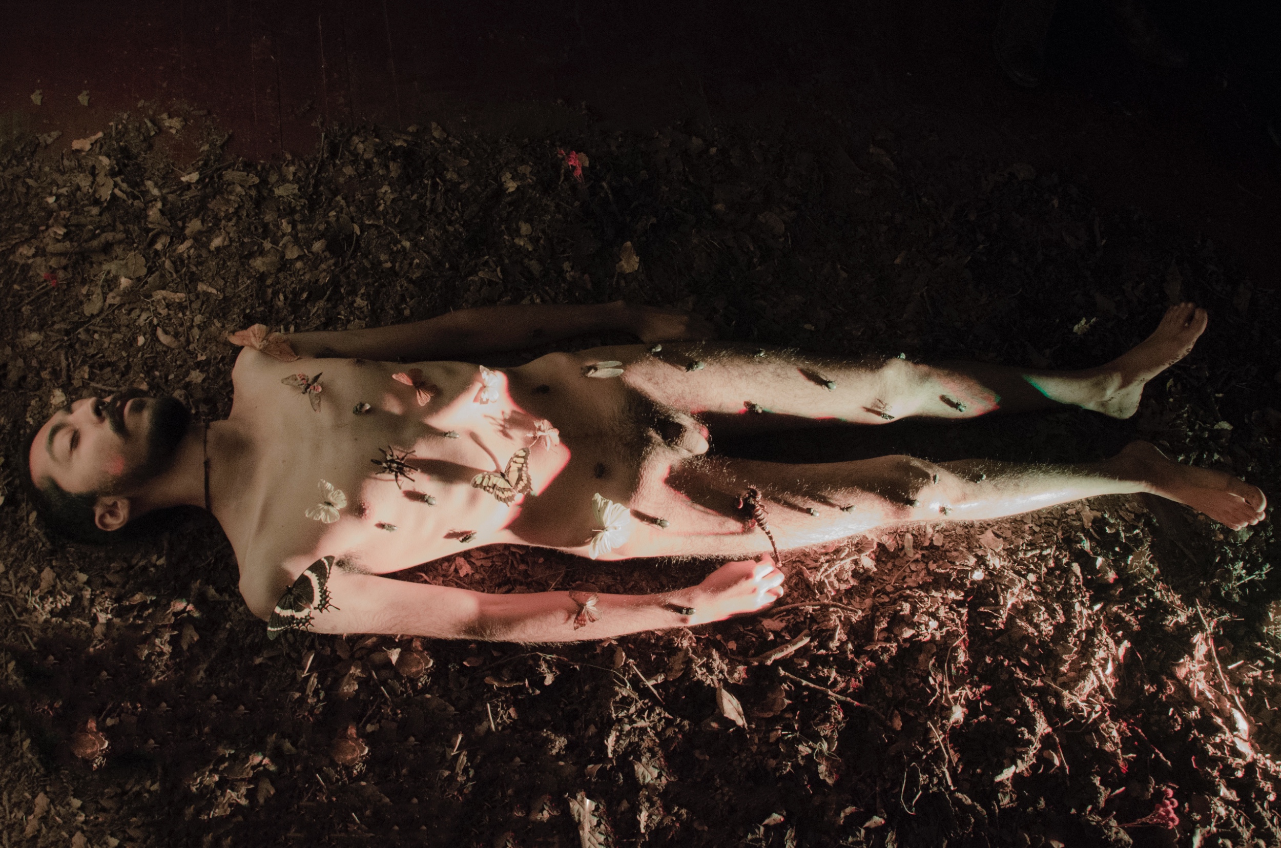 Naturaleza muerta, 2016