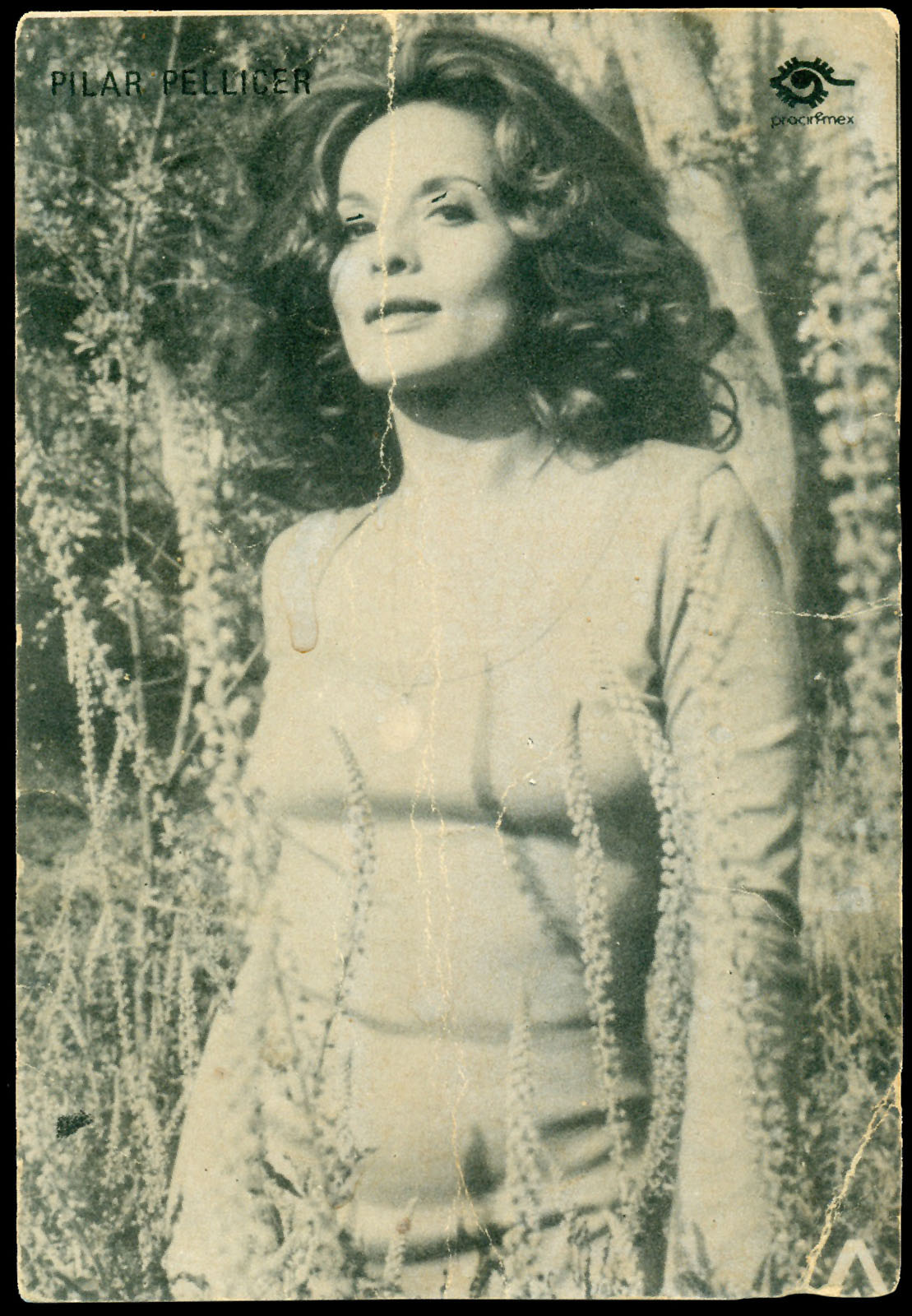 Postal de Procinemex
