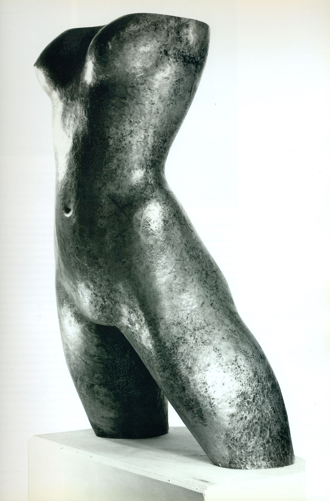 James Metcalf, Cariátide