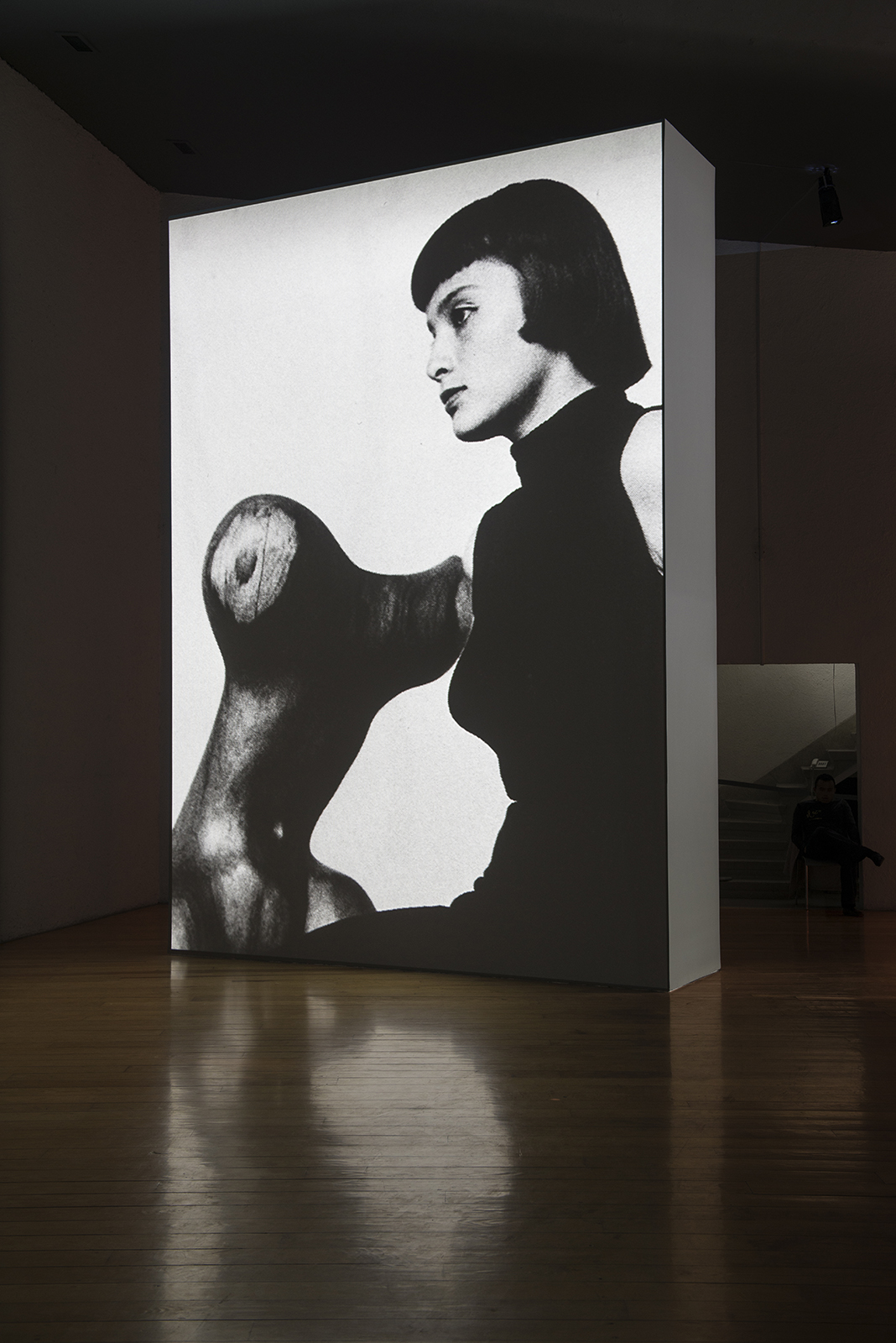Simon Starling, registro de la videoinstalación El Eco