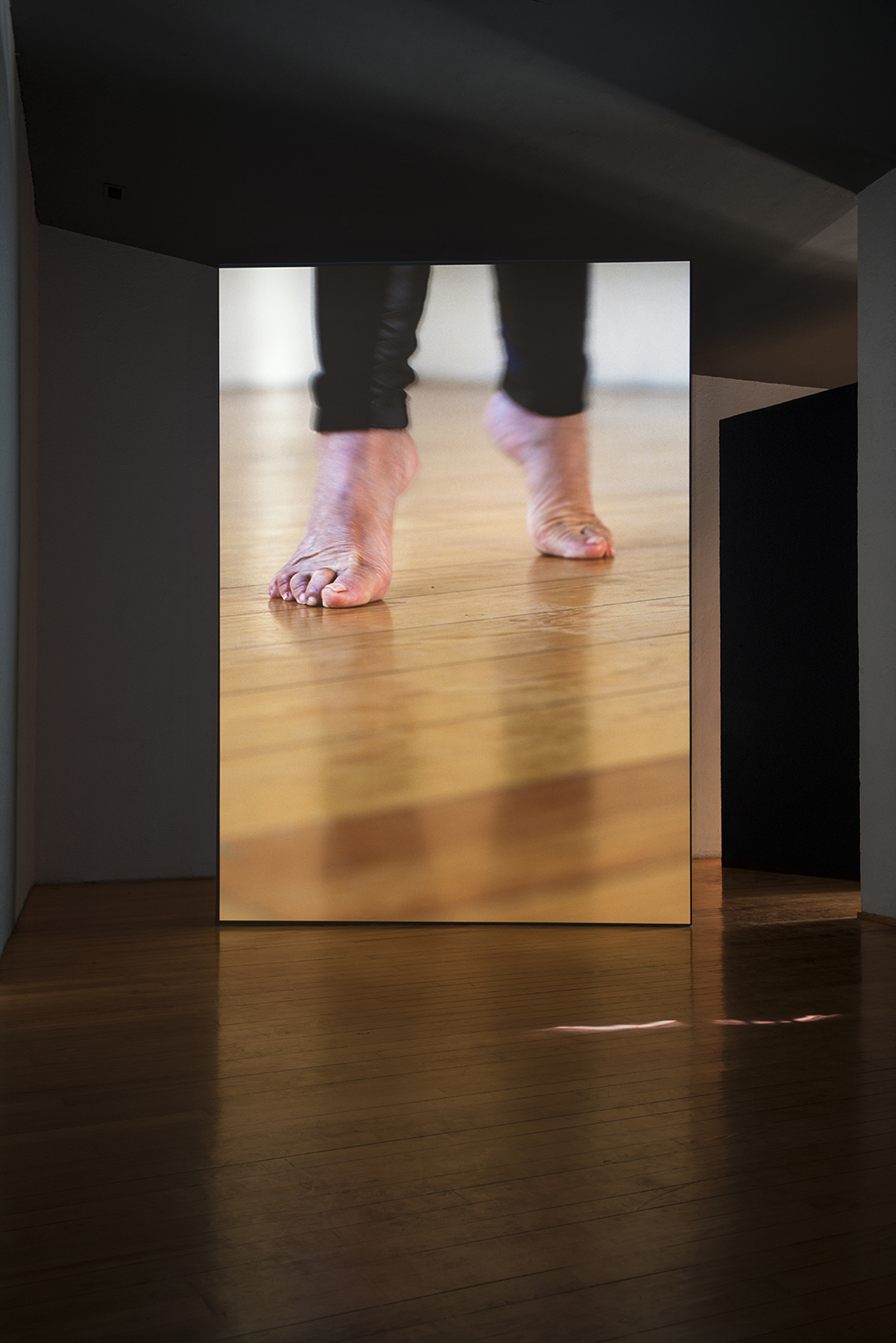 Simon Starling, registro de la videoinstalación El Eco
