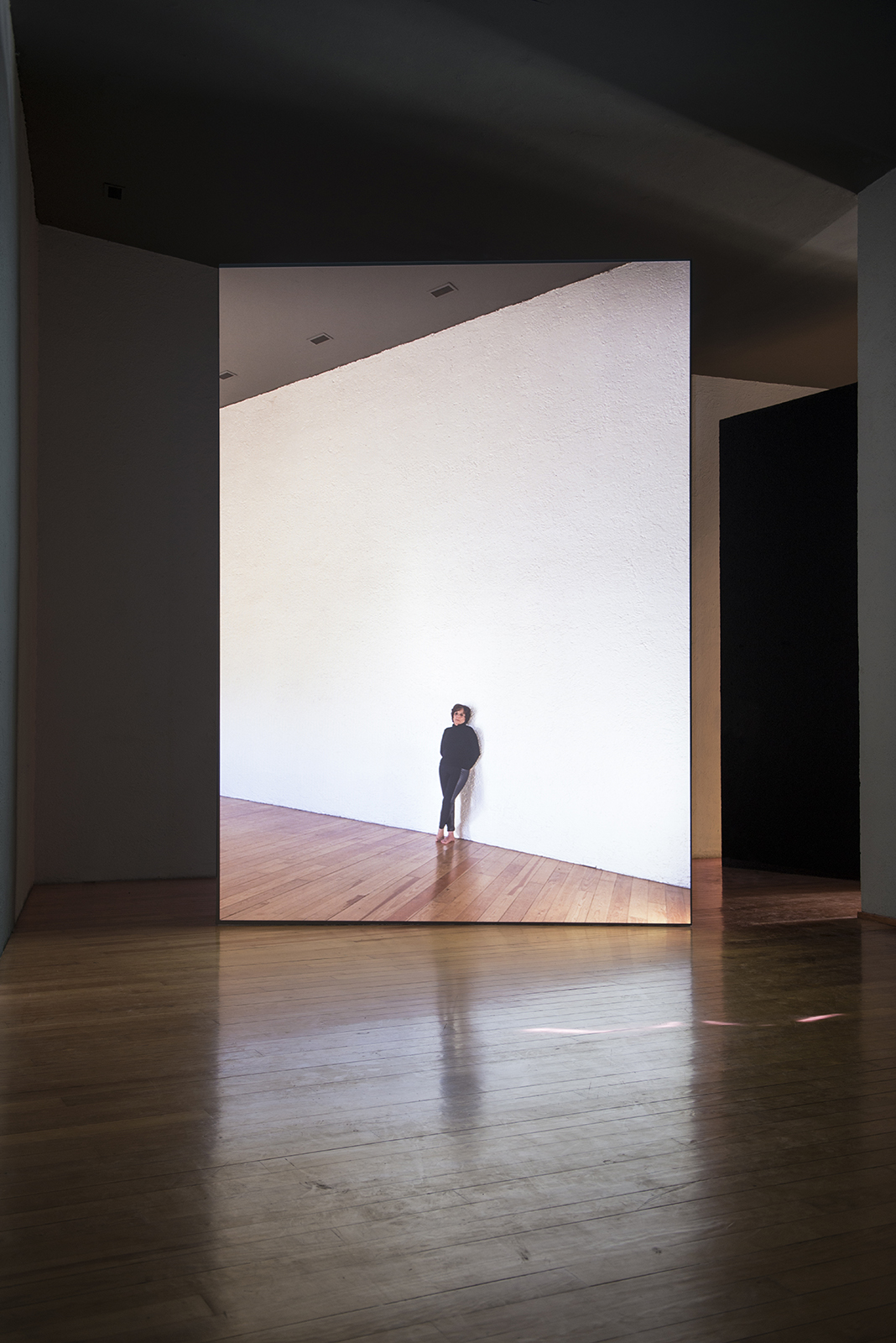 Simon Starling, registro de la videoinstalación El Eco