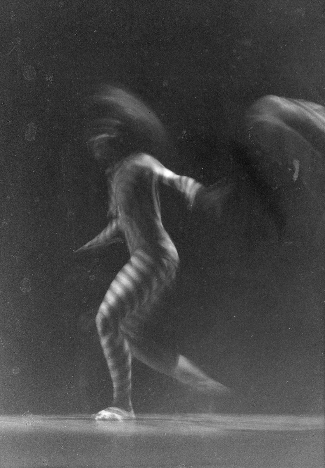 Luz y fuerza motriz en Danza Hebdomadaria
