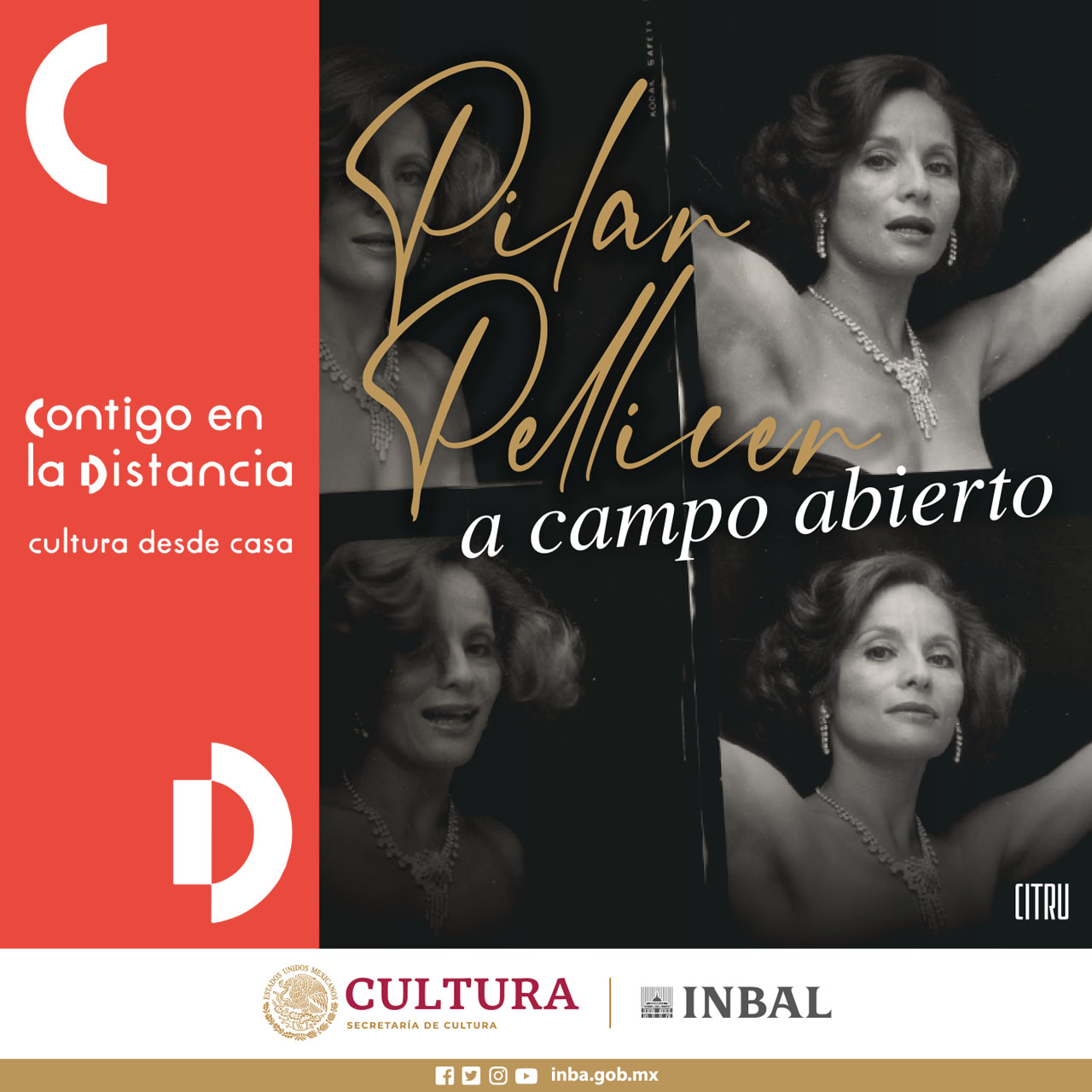 Presentación institucional